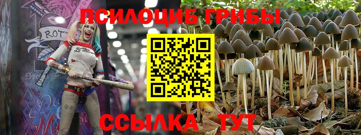 Среднеуральск  Псилоцибиновые грибы Magic Shrooms  Вход с VPN  где купить наркоту  Псилоцибиновые грибы GOLDEN TEACHER 