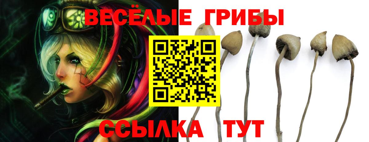 Галлюциногенные грибы MAGIC MUSHROOMS Среднеуральск